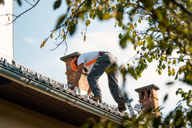 Best Roof Maintenance Services  in Whitewater, KS